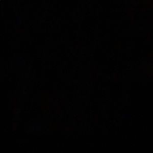 Meet your Posher, Benjamin